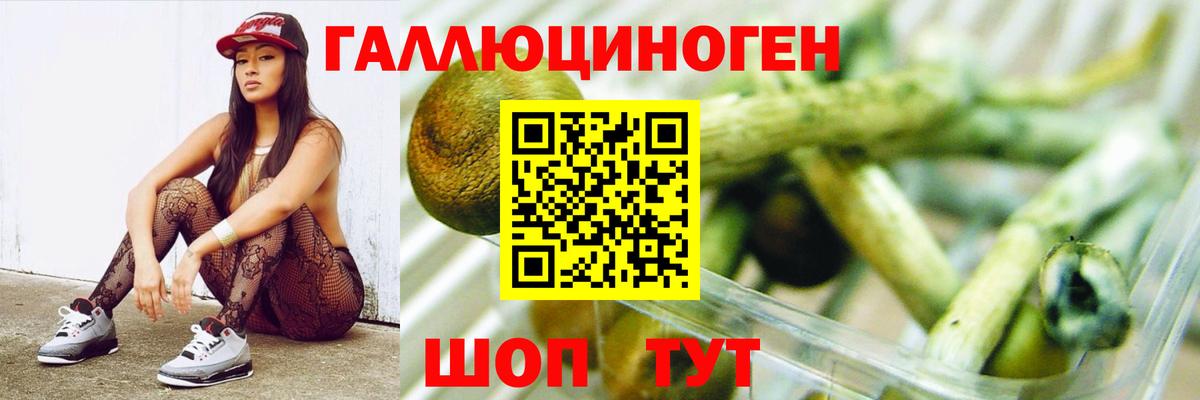 Галлюциногенные грибы GOLDEN TEACHER  Вход с VPN  Ковров 
